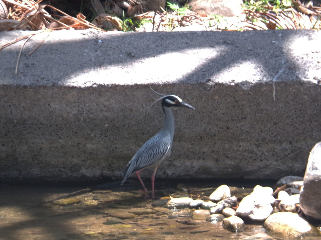 Isla Cuale-瓦拉塔港必去景点