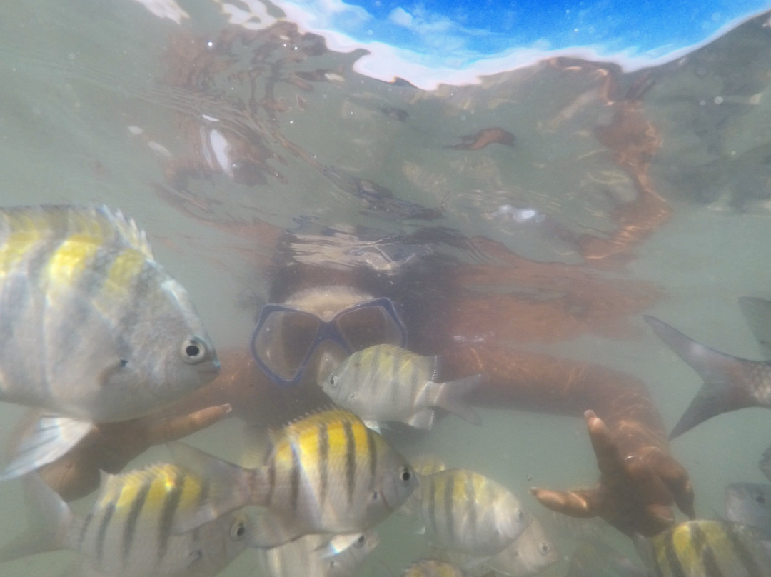 Ateliê Gilberto Carcará-嘎林海斯港必去景点