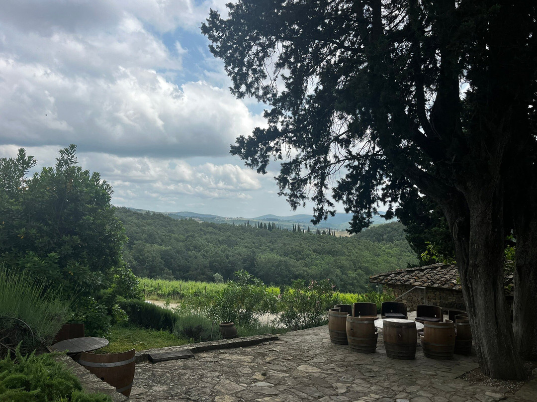 Poggio al Sole Winery景点图片
