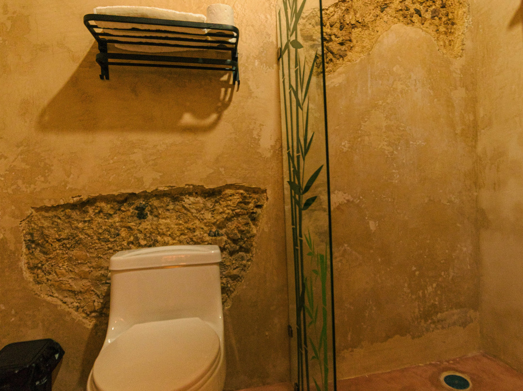 Hotel Boutique Casa Lanz XVII