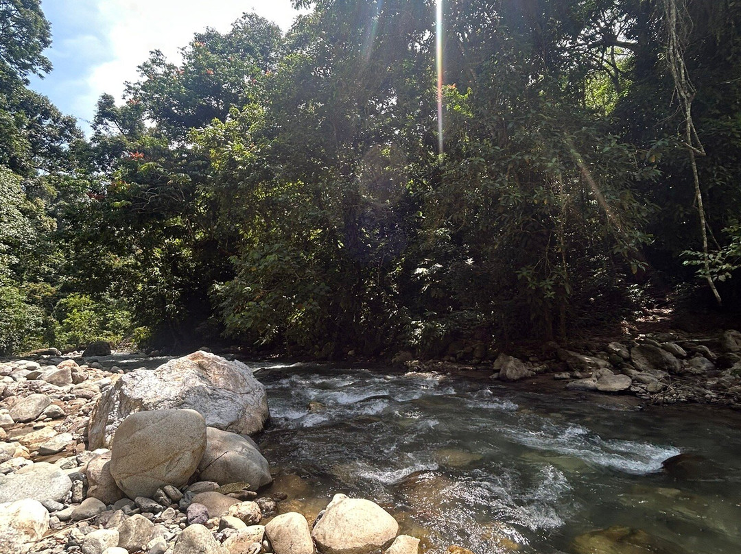 Hasby Ketambe Jungle Tours-Ketambe必去景点