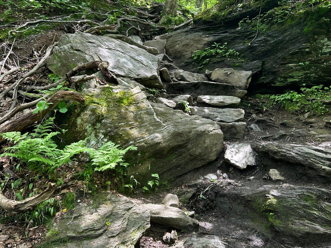 Sterling Pond-斯托必去景点