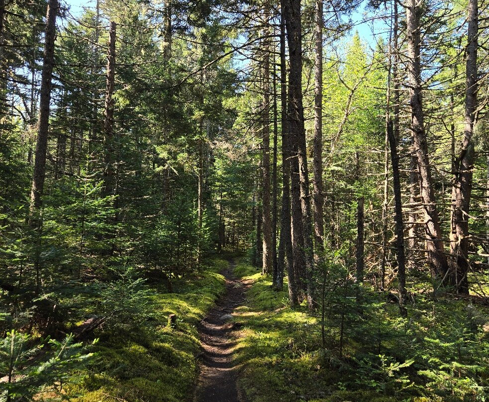 Mt Van Hoevenberg-普莱西德湖必去景点