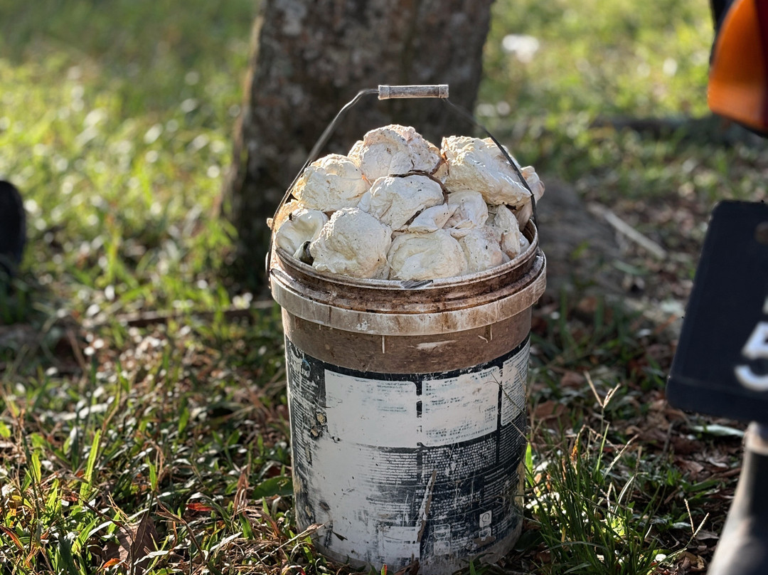 Melaka On Bike - Day Tours-马六甲必去景点
