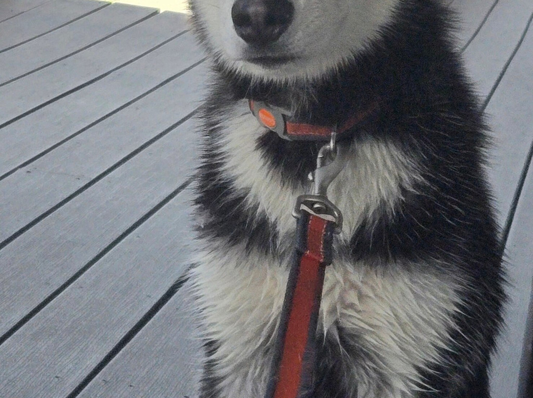 Cape Ann Motor Inn主图