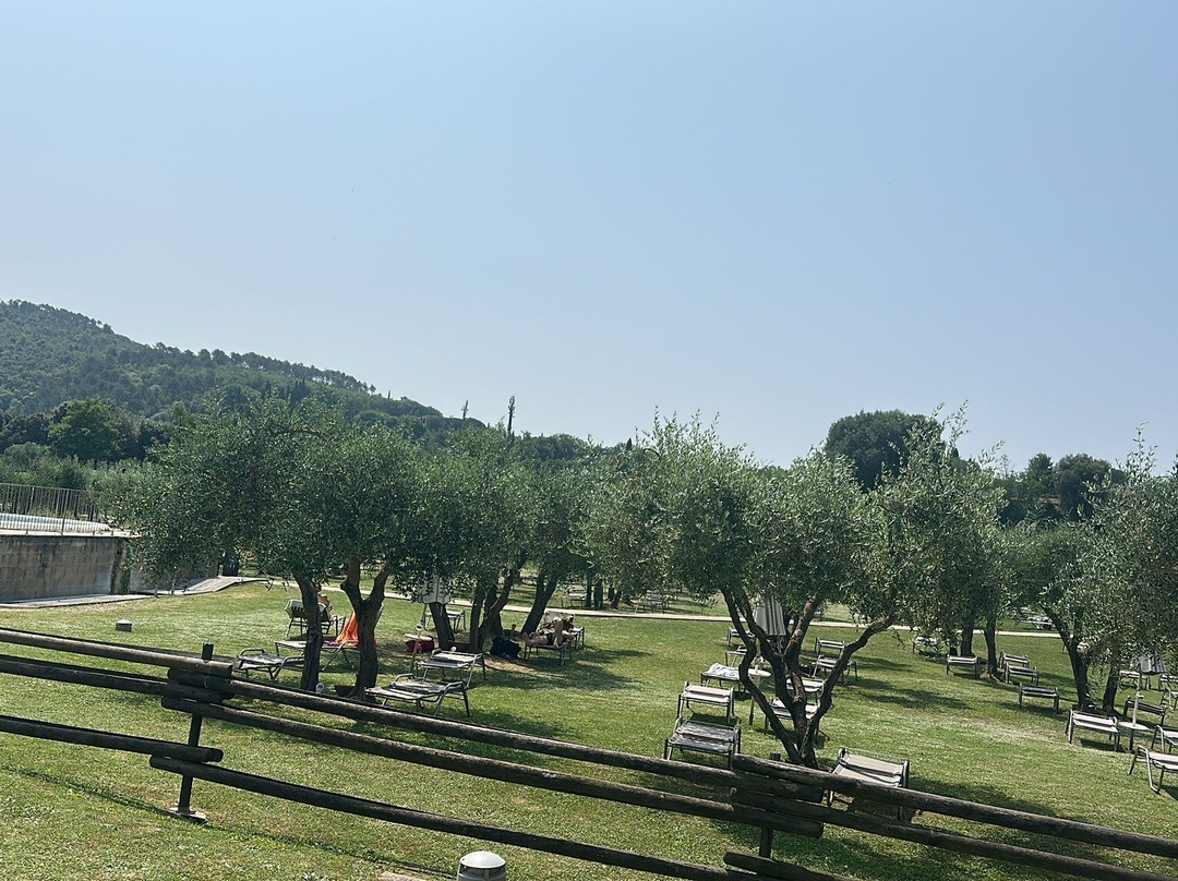Terme Antica Querciolaia景点图片