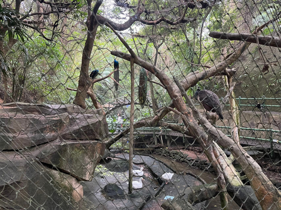 青青世界-深圳市必去景点