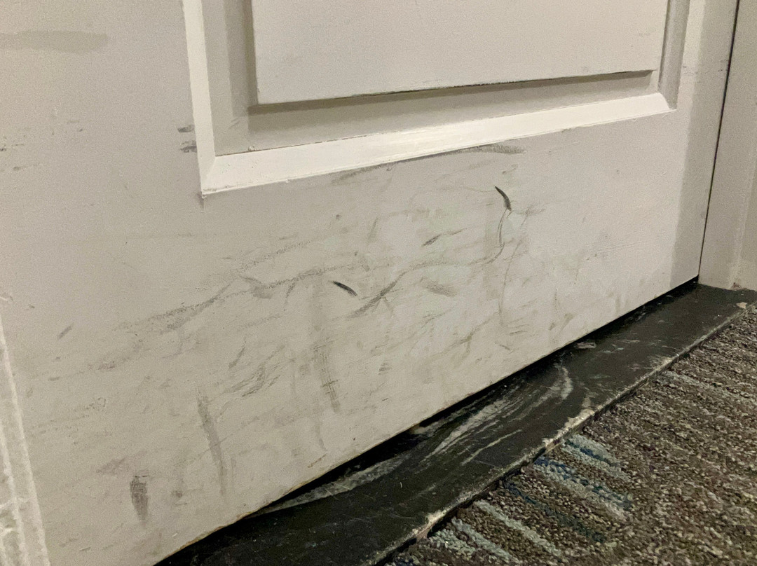 罗彻斯特机场万豪酒店主图