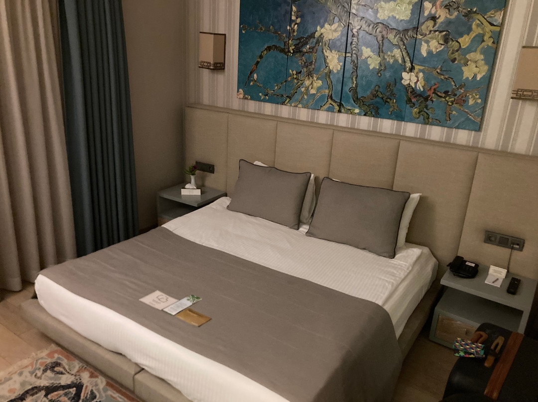 Bodrium Hotel & Spa主图