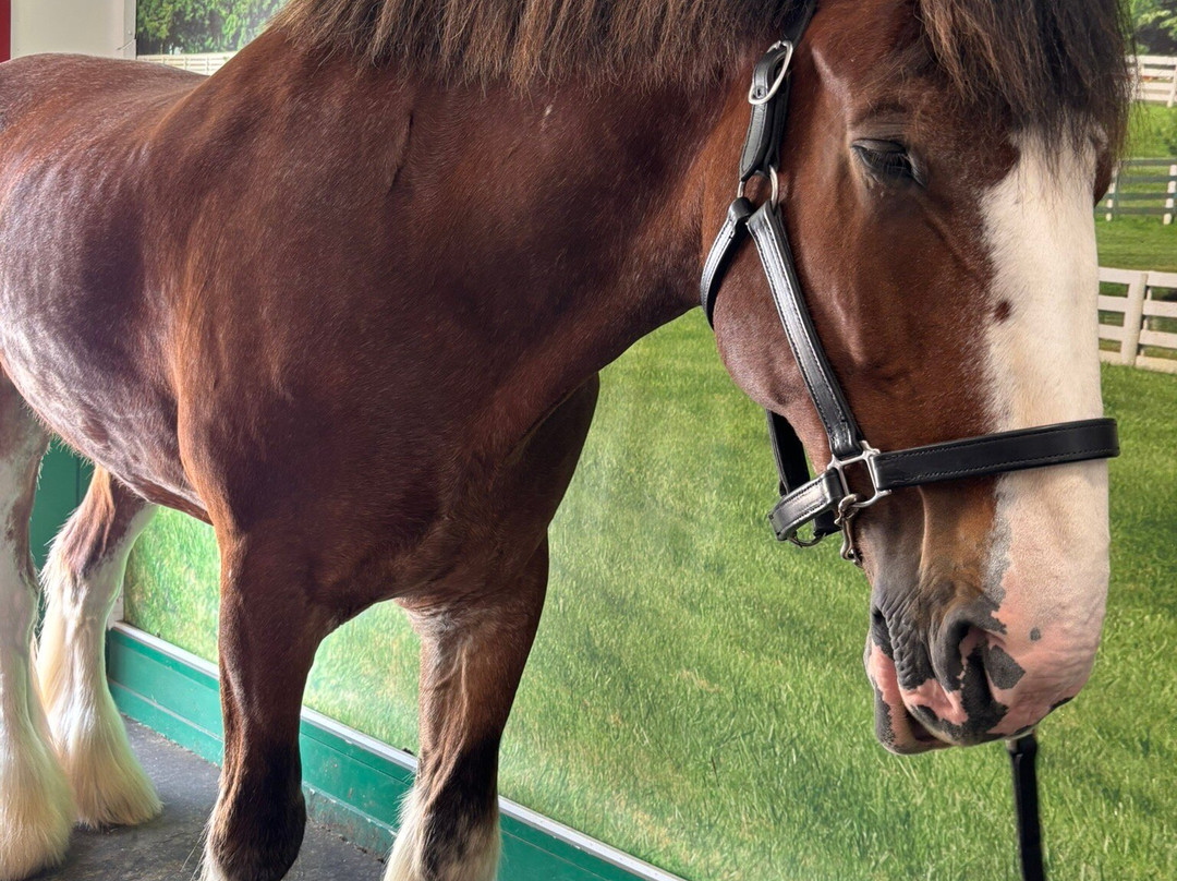 格兰特农场-圣路易斯必去景点