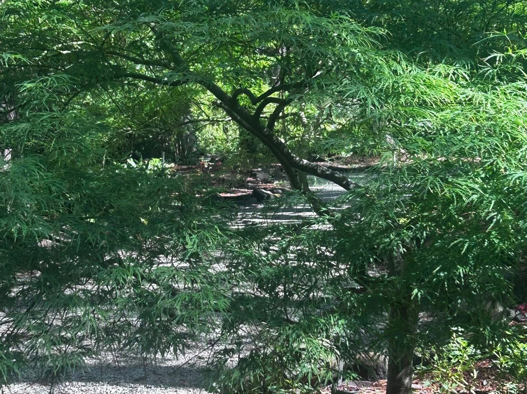 Cape Fear Botanical Garden-费耶特维尔必去景点