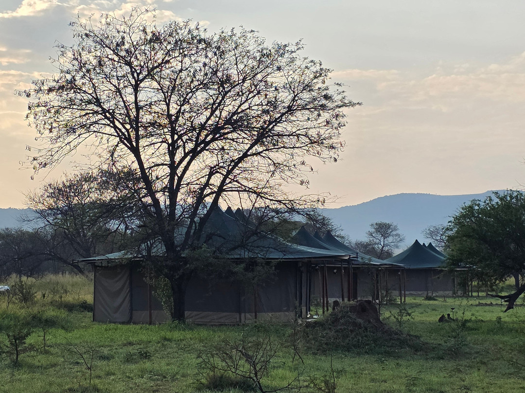 Robin Safari Camp