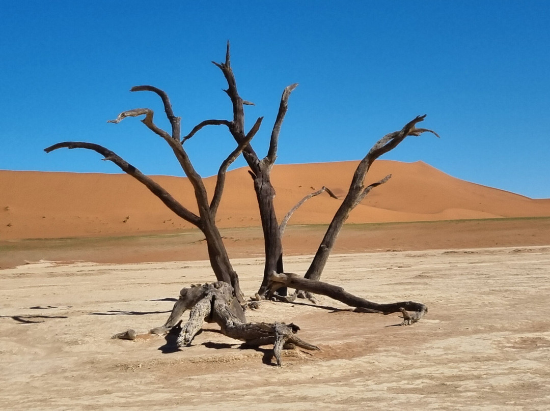 Deadvlei-苏丝斯黎必去景点