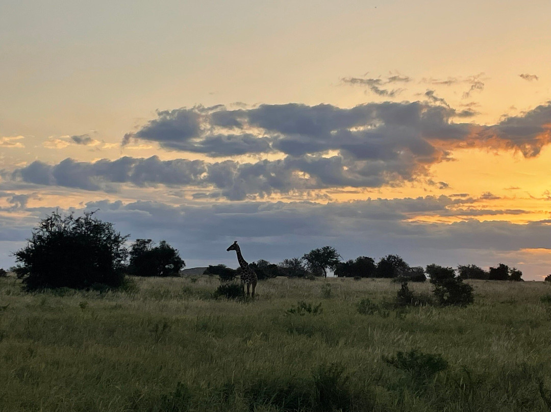 Robert Safaris Adventure Day Excusions-乌库达必去景点