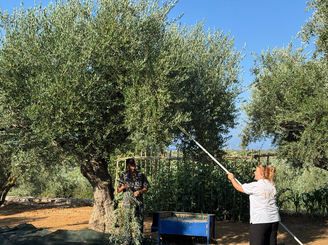 Tour My Day-卡拉马塔必去景点
