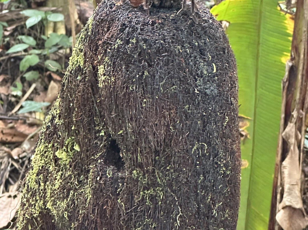 EXPEDICIONES VILCA-Manu必去景点