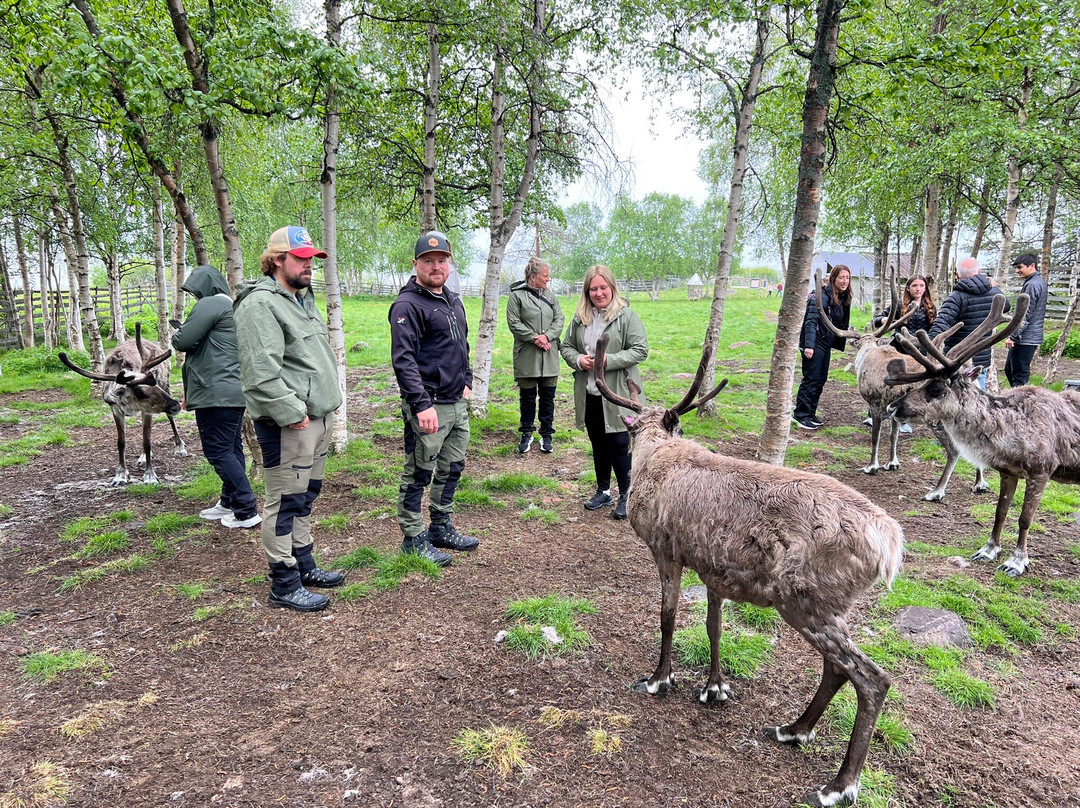 Nutti Sámi Siida-Jukkasjarvi必去景点