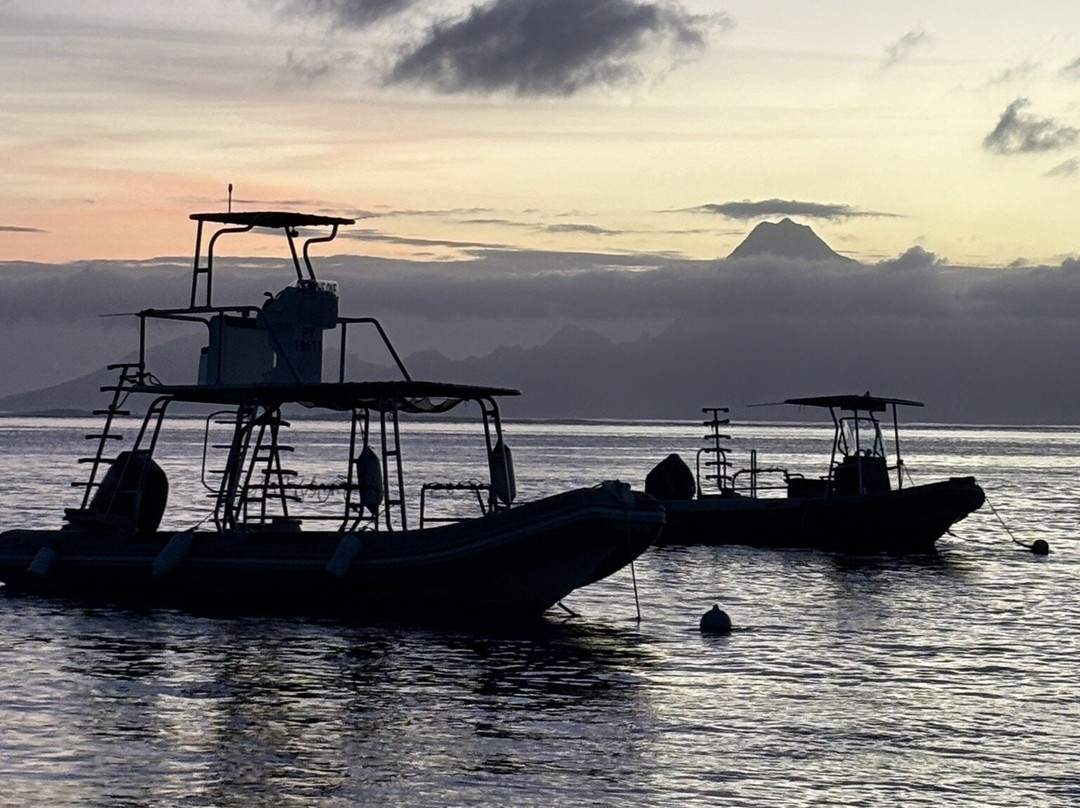 Dive and Sea Tahiti - Base nautique de Puna'auia-普纳奥亚必去景点