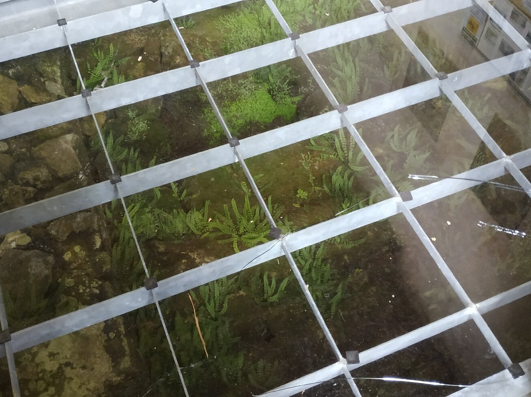 Chiesa della Madonna delle Nevi-Santa Fiora必去景点