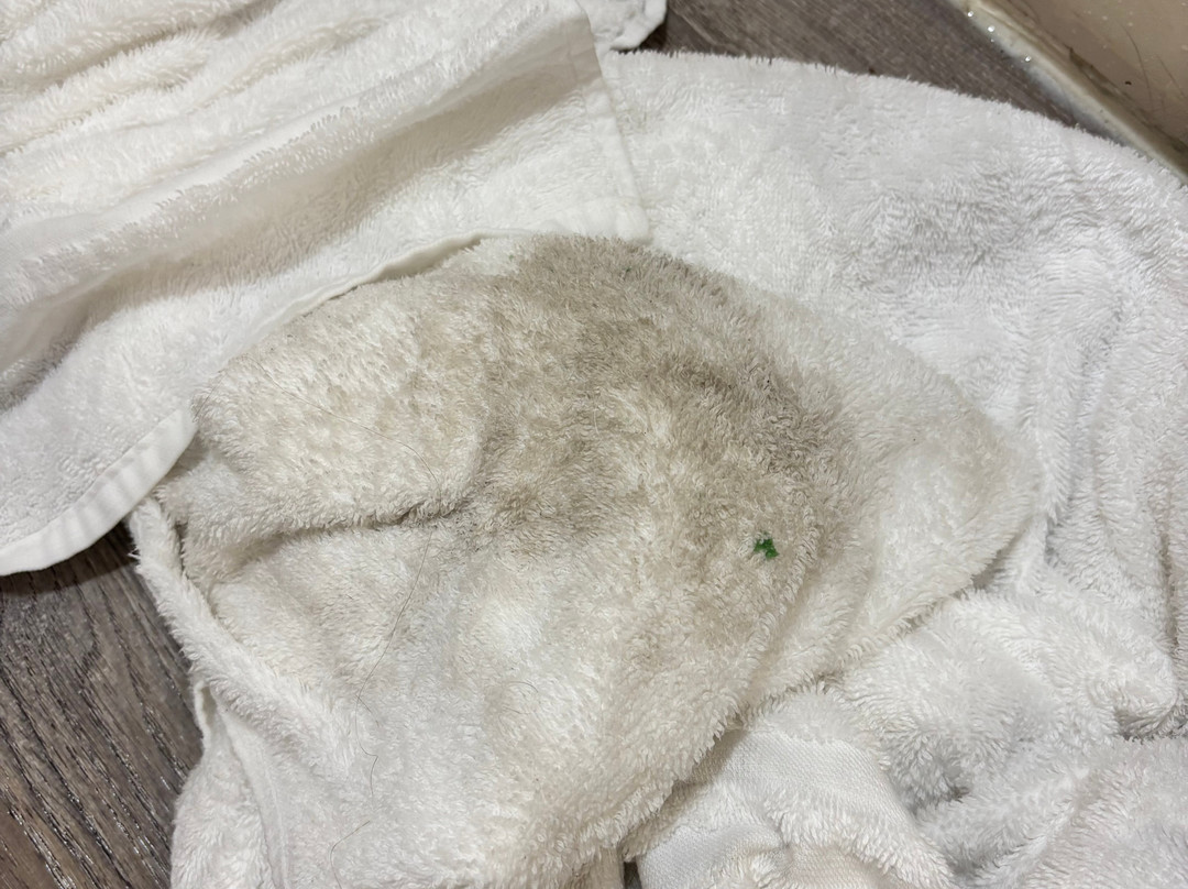 New Victorian Suites主图