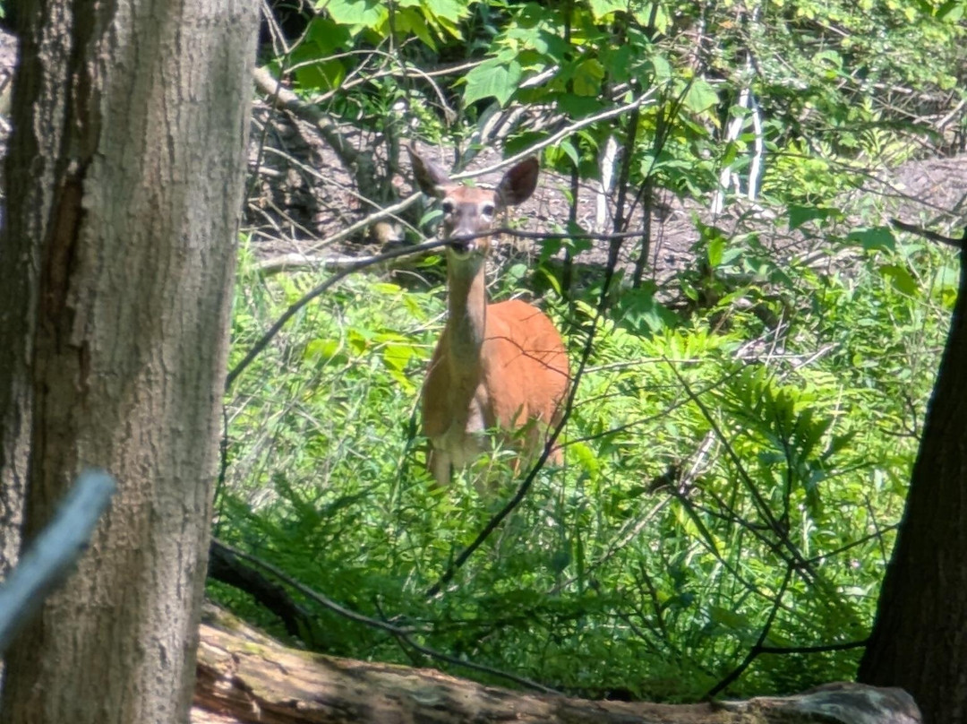 Presqu'ile Provincial Park-Brighton必去景点