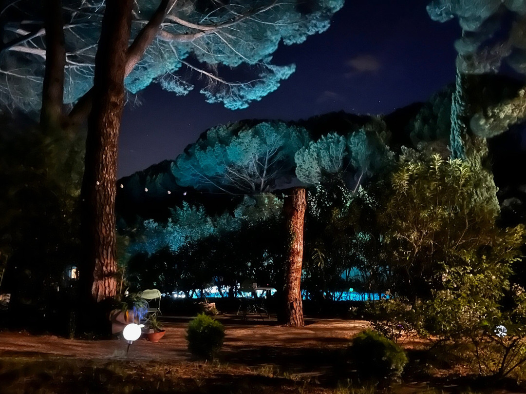 La Bastide Des Pins主图