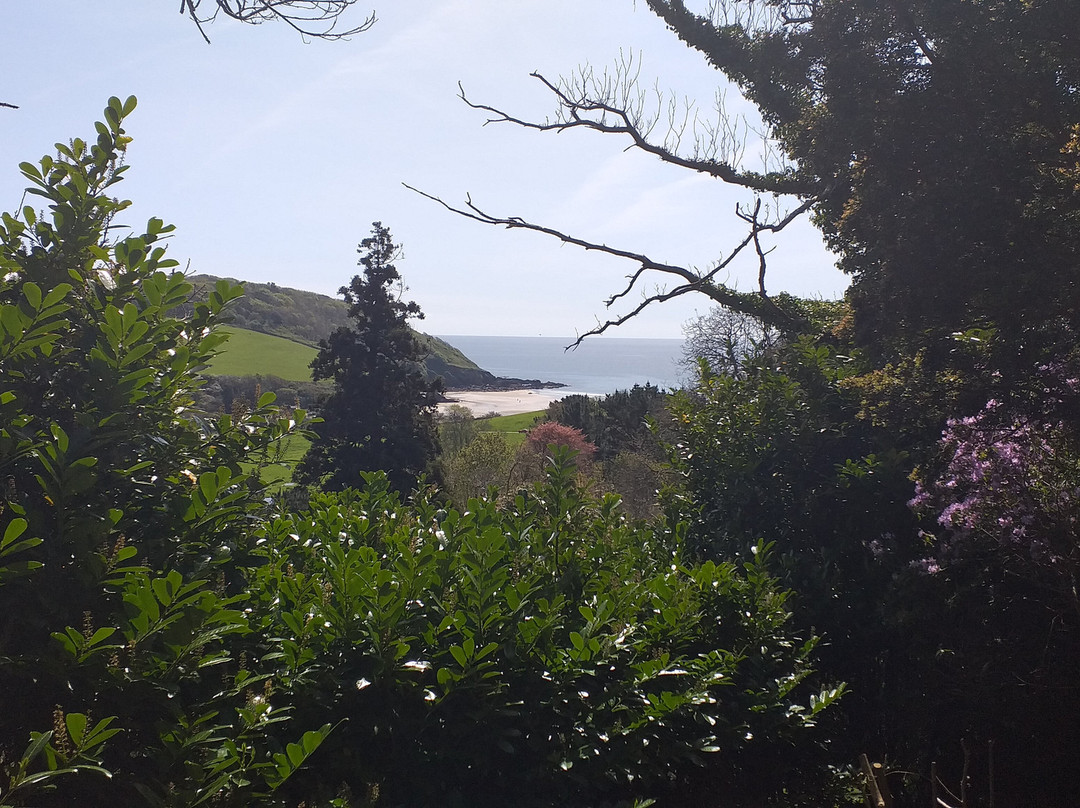 Caerhays Castle-Gorran必去景点