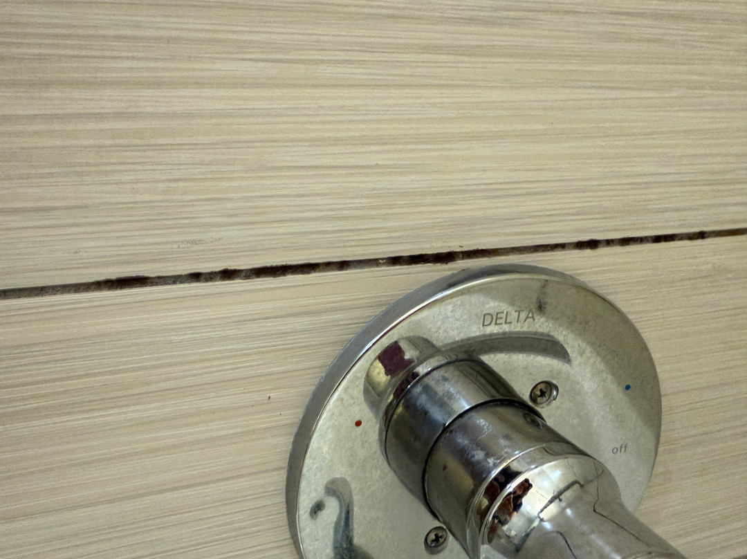 Best Western Plus University Inn主图