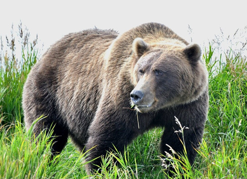 Northwind Aviation LLC-荷马必去景点