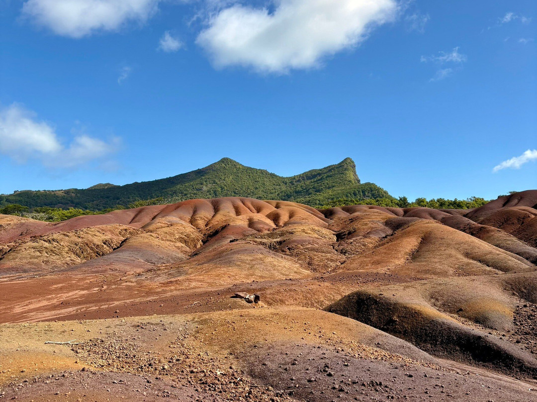 Vicky Mauritius Tour-贝尔马尔必去景点
