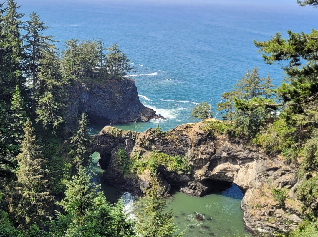 Natural Bridges Viewpoint-布鲁金斯必去景点