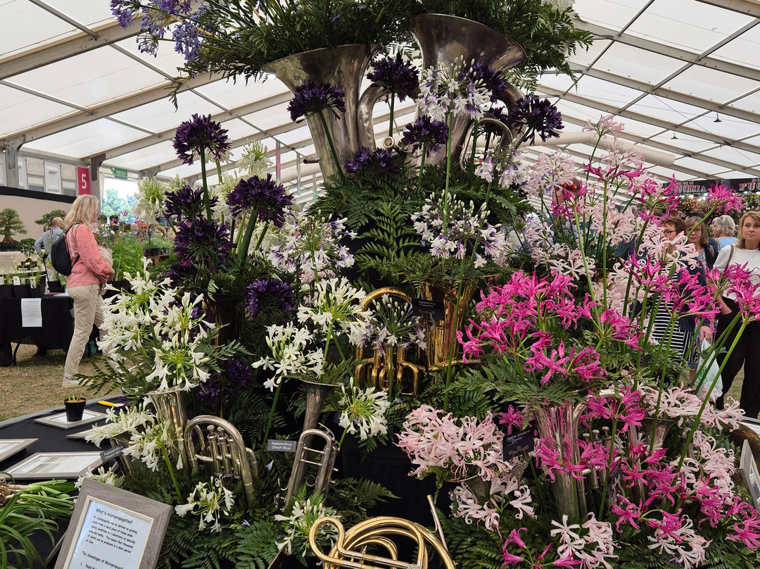 Hampton Court Flower Show-East Molesey必去景点