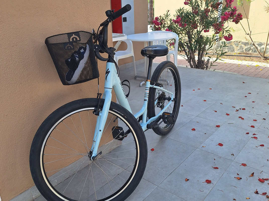 Rent Bike Playa Meloneras-Meloneras必去景点