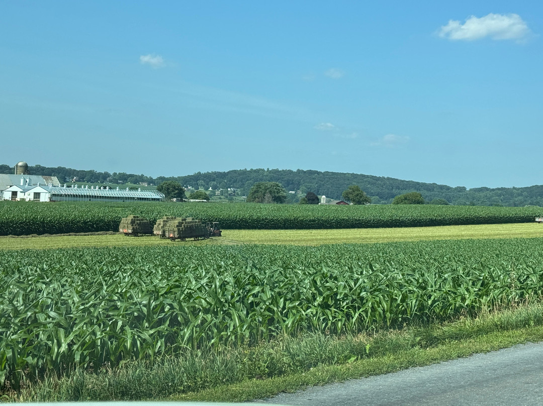 The Inn & Suites At Kitchen Kettle Village主图