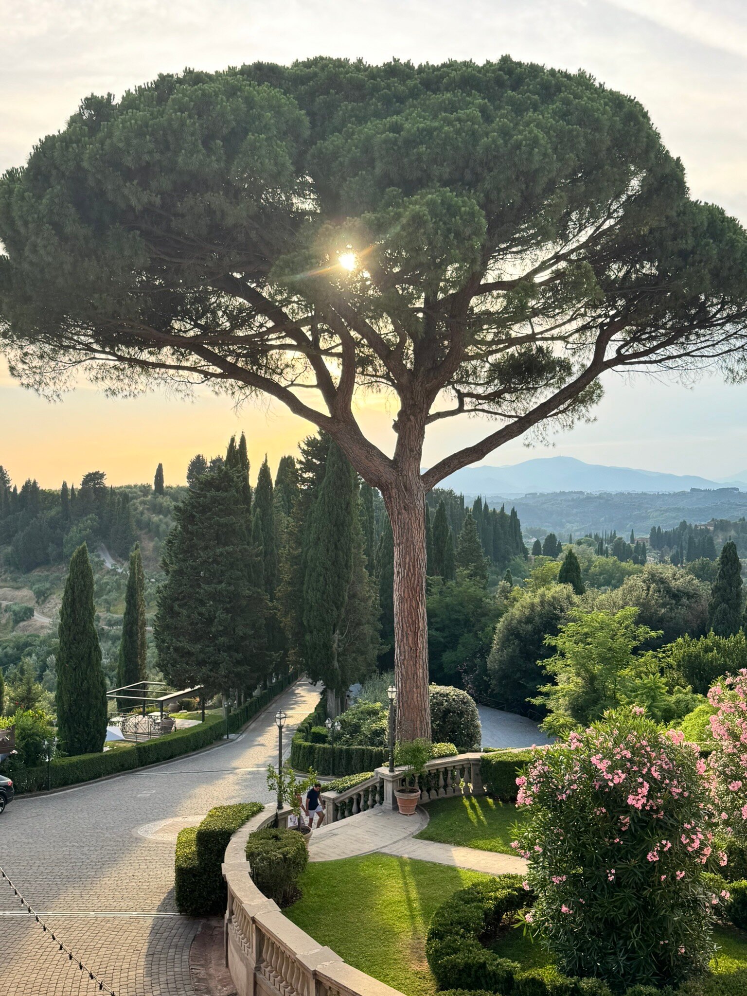 Borgo Bucciano-官方