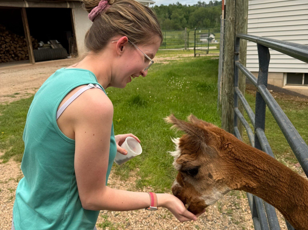 Rainbow Gifts and Yarn-Norway必去景点