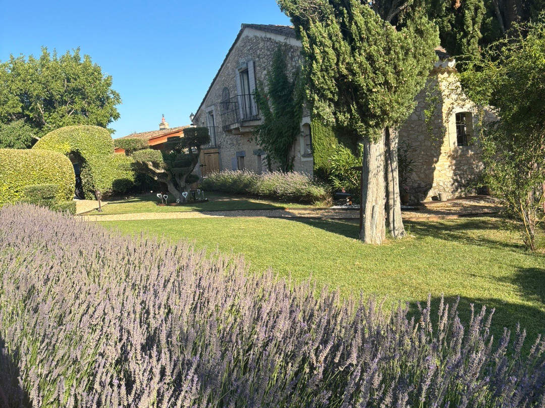 Bastide des Demoiselles主图