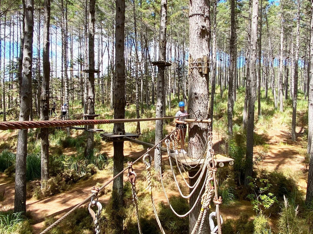 Tree Adventures-伍德山必去景点