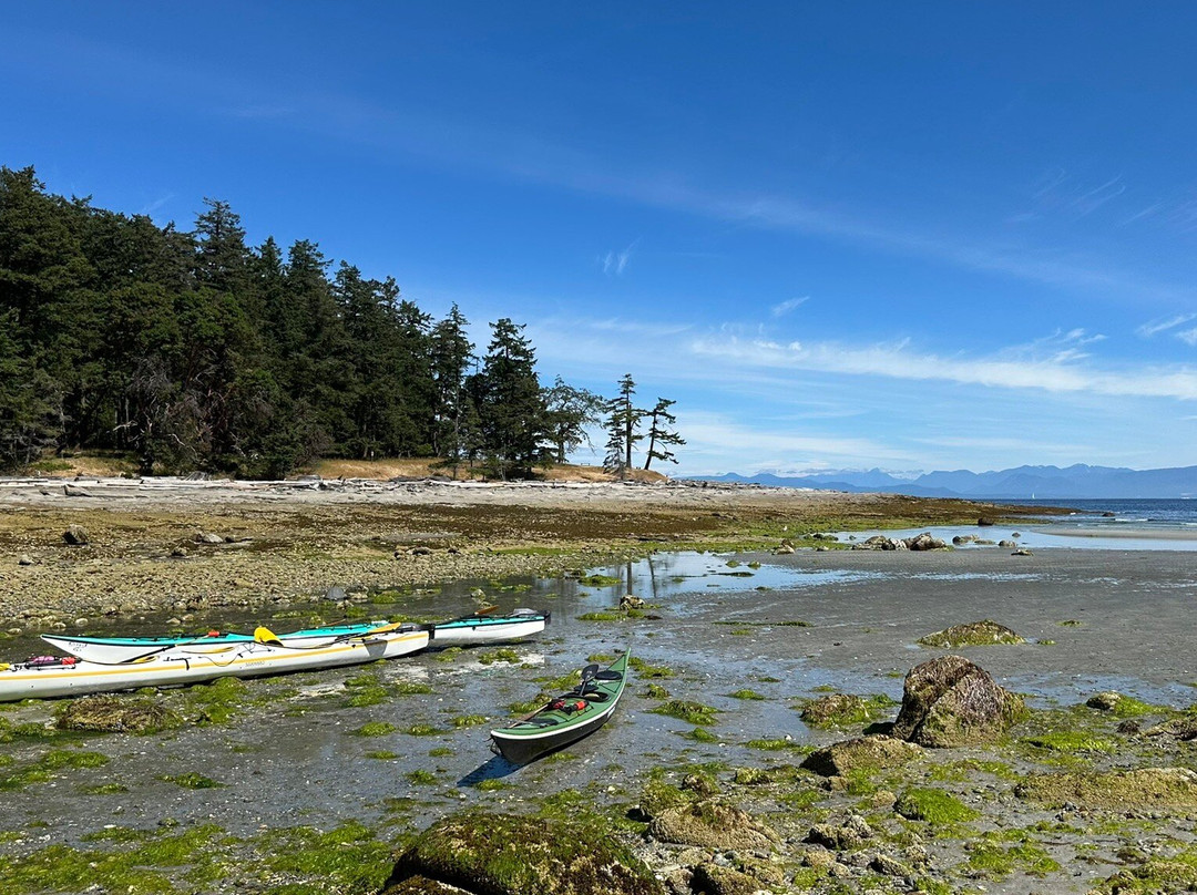 Island Römer Adventures-纳奈莫必去景点
