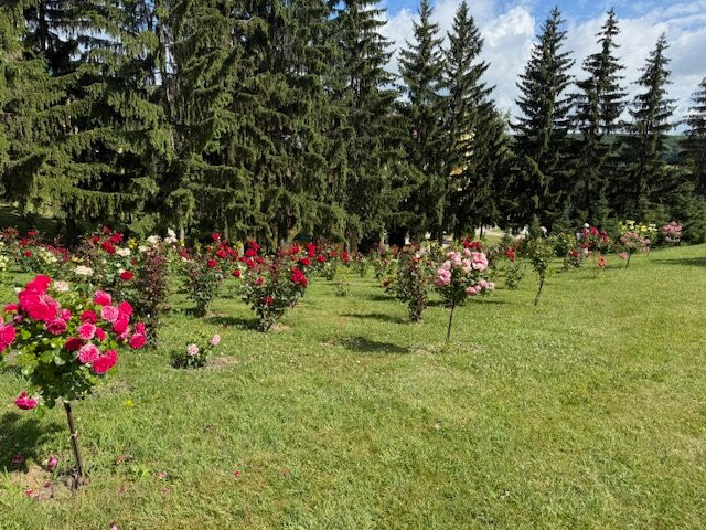 Hancu Monastery-Nisporeni必去景点