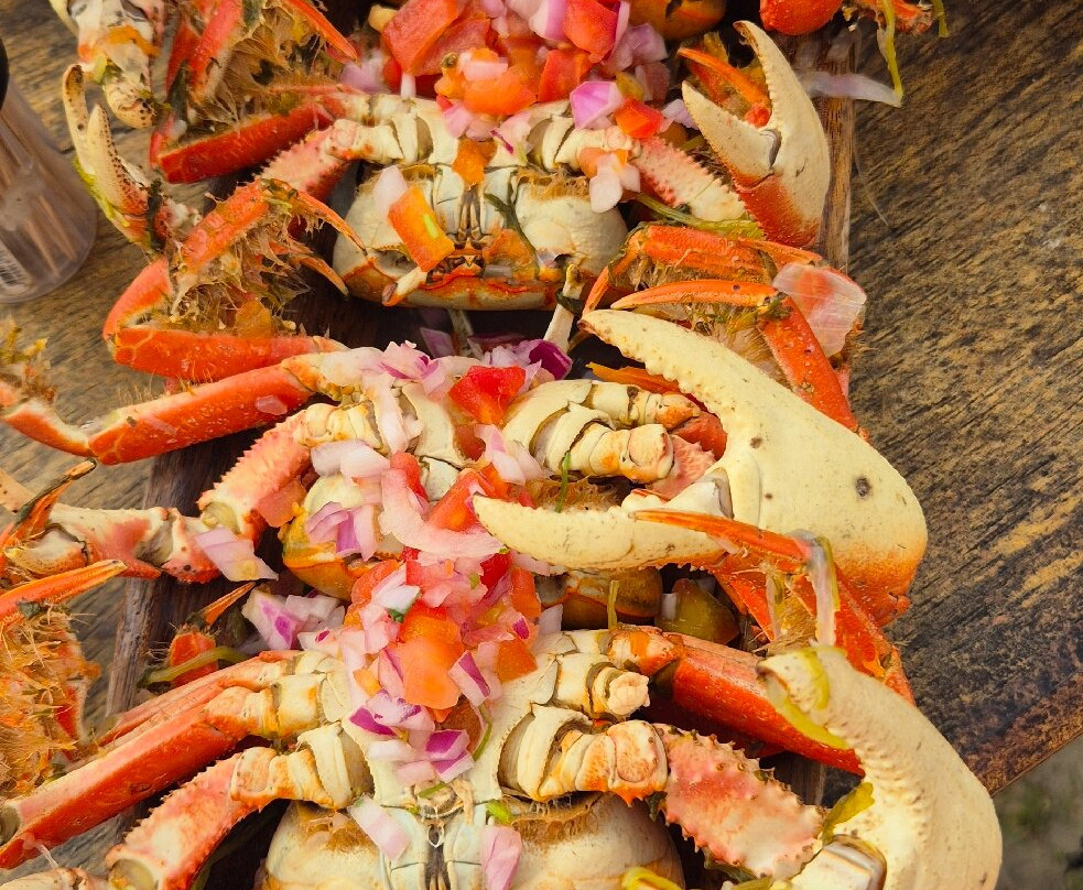 Cururupe Beach-Ilheus必去景点