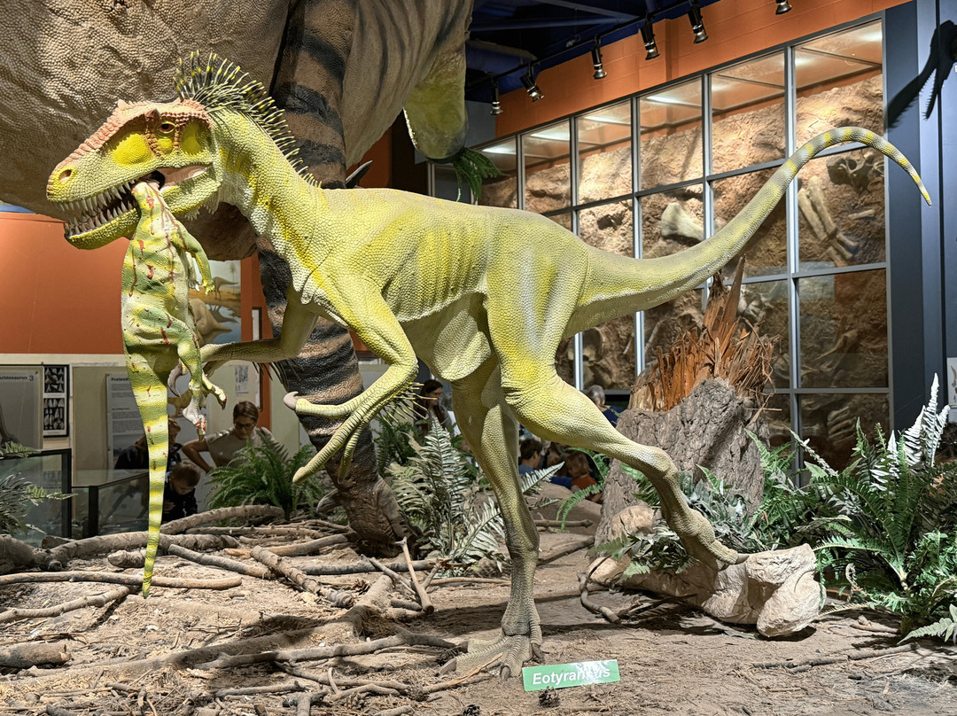 Dinosaur Isle-桑当必去景点