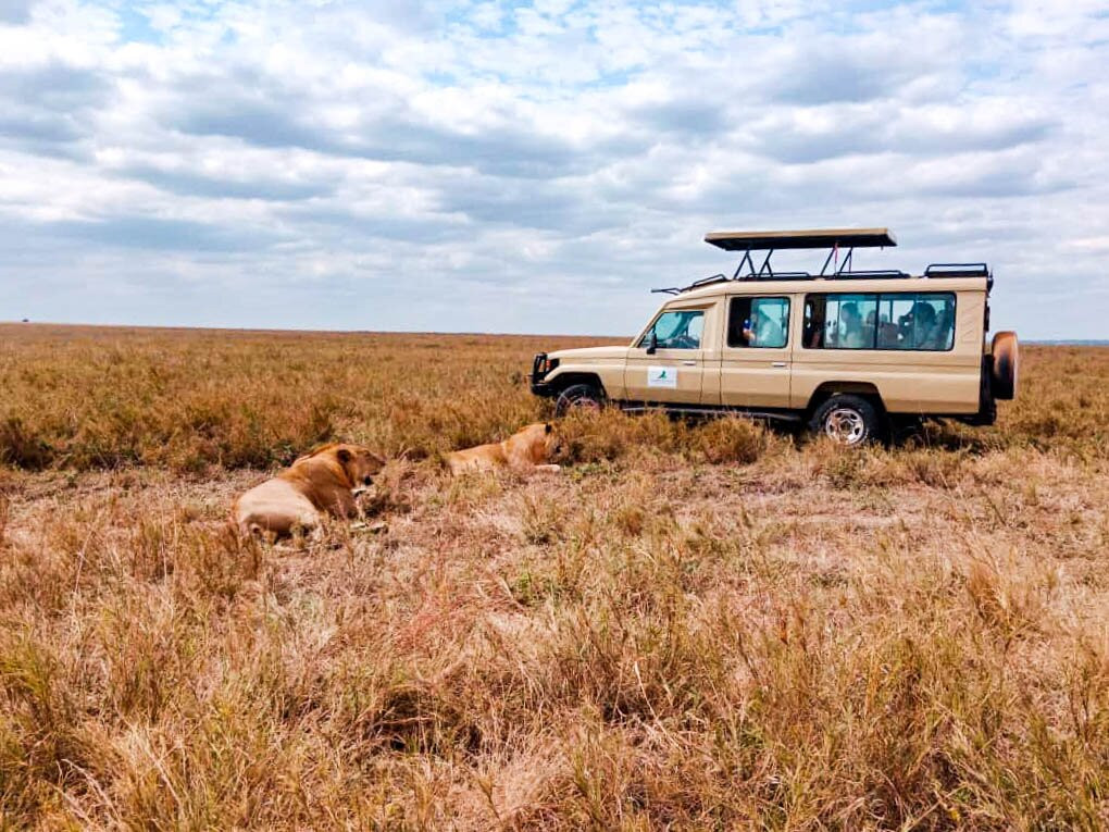 Livingstone Safari Tanzania-阿鲁沙必去景点