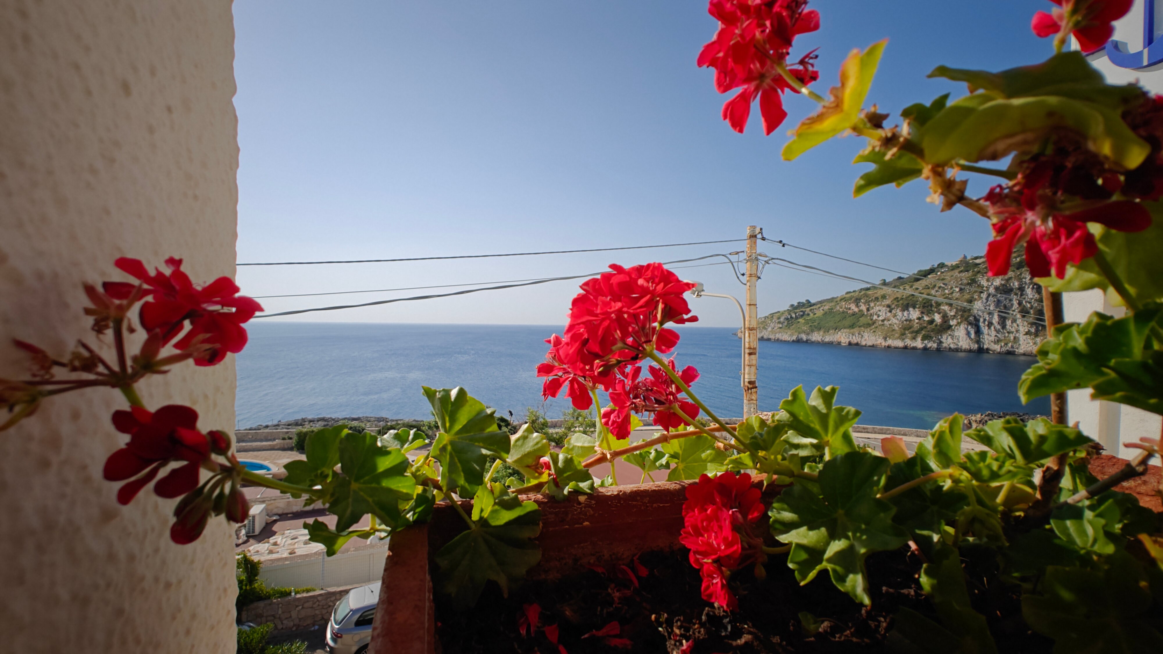 Hotel Il Vascello-官方