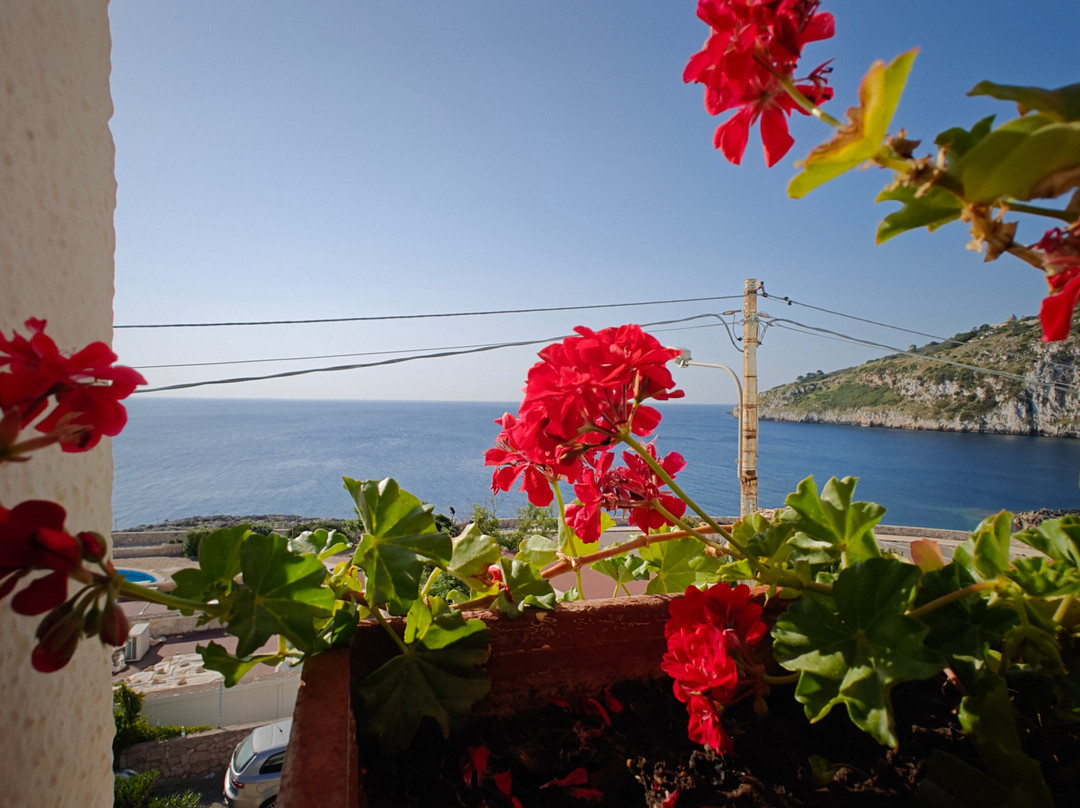 Hotel Il Vascello主图