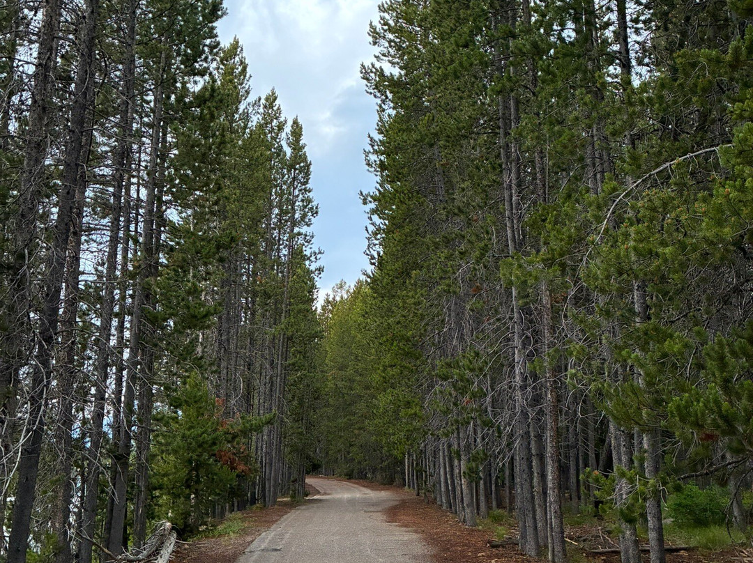 Colter Bay Visitor Center-大提顿国家公园必去景点