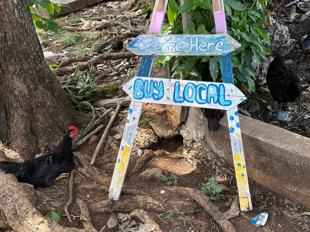 Store Bay-多巴哥必去景点