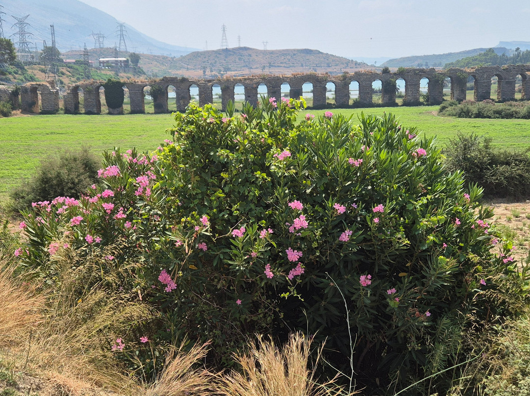 ExcursionSide-西代必去景点