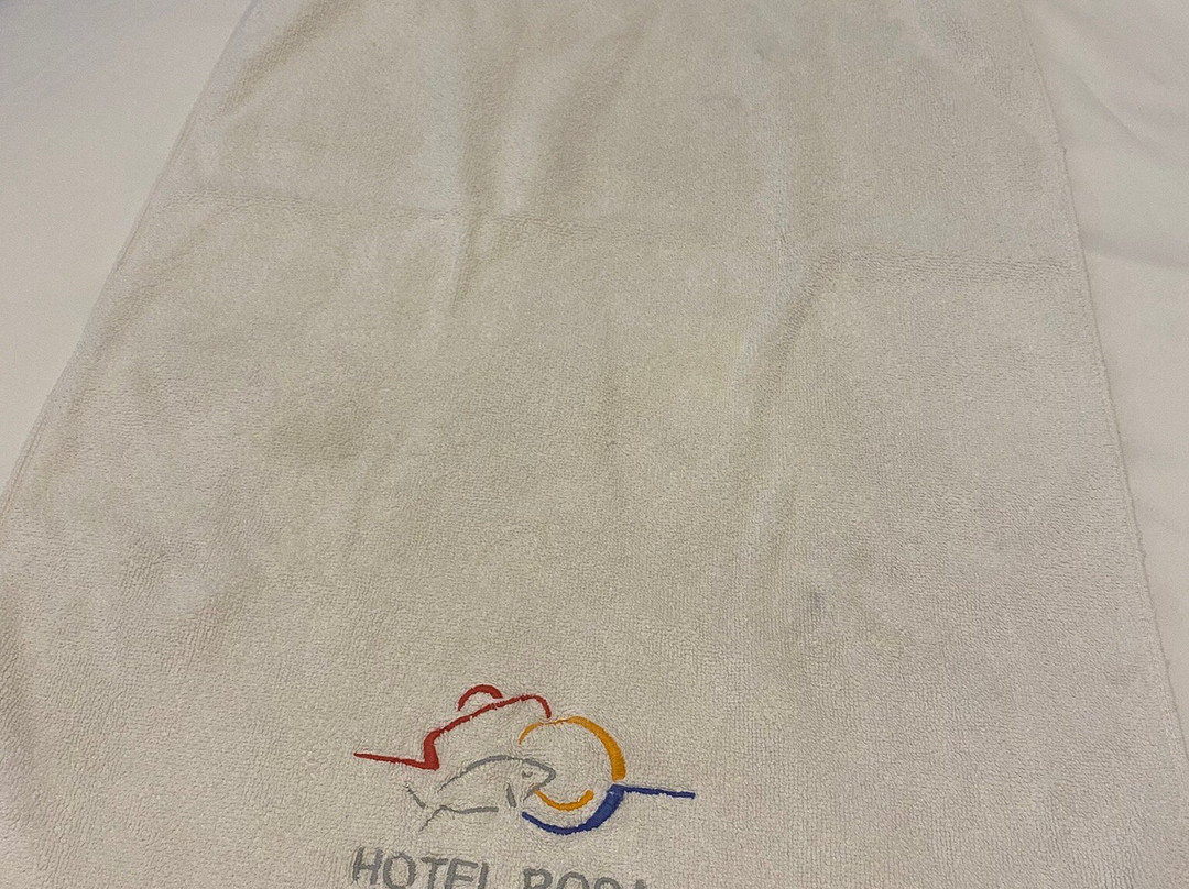 Hotel Spa Rosa主图
