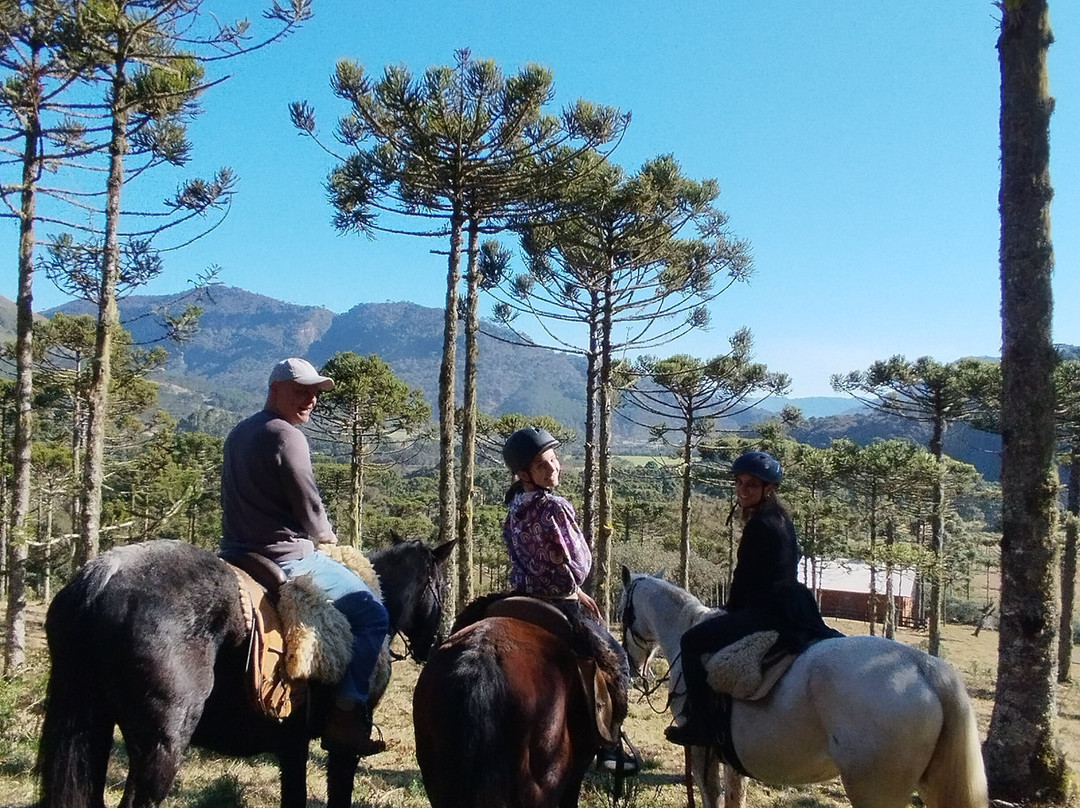Fruta Fina Orgânicos-Urubici必去景点